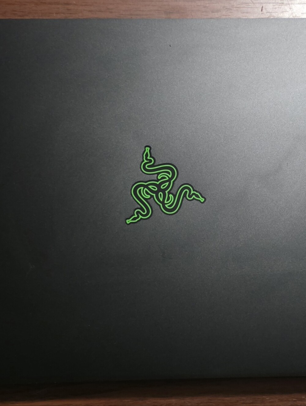 Razer Laptop (2020/2021)